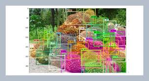 After steaming, the palm fruitlets are crushed in a pressing machine to obtain crude palm oil (cpo) and palm kernel. Automatic Detection And Calculation Of Palm Oil Fresh Fruit Bunches Using Faster R Cnn