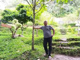 We did not find results for: Taman Eden 100 Parapat Indonesia Review Tripadvisor