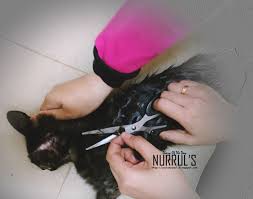 Maybe you would like to learn more about one of these? Hitam Dan Pelekat Gam Tikus