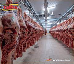 Kosher diets also limit pork, shellfish, and meat from specific animals and animal parts. Halal Meats Halal Brazilian Meat Exporters Halal Meat Suppliers In Brazil