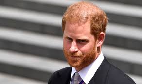 Prince Harry 'a target for rest of his life' as security row heats