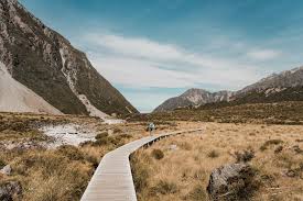 We did not find results for: 20 Unplanned Trip Quotes That Will Inspire You