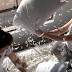 Brace Yourself: It's International Pillow Fight Day
