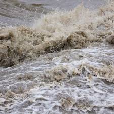 Resultado de imagen de 2017 Oscar Picks