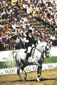 The absolute basics * there are three equestrian disciplines: Equestrian At The 1980 Summer Olympics Wikipedia