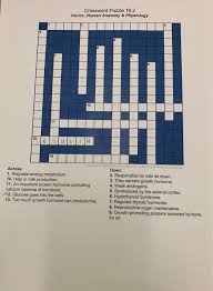 If you're still haven't solved the crossword clue bones, in anatomy then why not search our database by the letters you have already! Crossword Puzzle 16 2 Marieb Human Anatomy Physiology Across 1 Regulate Energy Metabolism 10 Help In Homeworklib