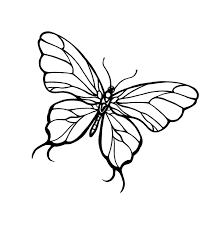 Green Butterfly Line Jpg 2 456 2 464 Pixels Butterfly Line Drawing Butterfly Sketch Easy Butterfly Drawing