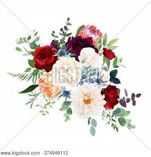 Autumnal protea and ranunculus centerpiece. White Ranunculus Vector Photo Free Trial Bigstock