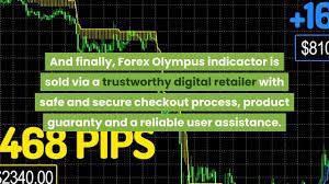 Forex Olympus Review Is Forex Olympus Indicator Kit Profitable Forex Forex Currency Course Review