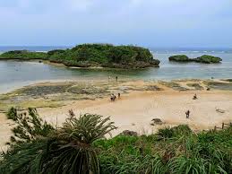 The sand on the famous hoshizuna beach in okinawa, japan is made up by tiny stars! The Star Shaped Sand Grains On The Beach Of Iriomote Island Japan
