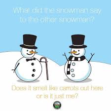 What Did One Snowman Say To The Other Carrot Humor Snowman Snowman Funny Humor