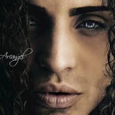 A wide variety of arcangel options are available to you Arcangel S Stream