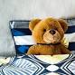 Halloween Stuffed Animal Sleepover event image