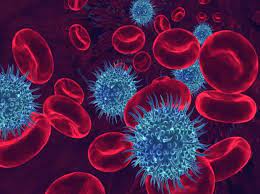 People who have malaria usually feel very sick with a high fever and shaking chills. A Virus Hosted In Malaria Infected Blood Protects Against T Cell Mediated Inflammatory Diseases By Impairing Dc Function In A Type I Ifn Dependent Manner Institut Toulousain Des Maladies Infectieuses Et Inflammatoires