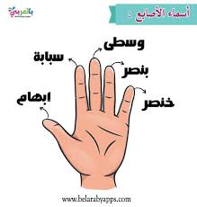 Pin On وحدة الايدي رياض الاطفال