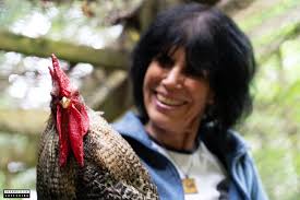 How Can We Promote Respect for Chickens? An Interview with Karen Davis of  United Poultry Concerns — Species Unite