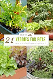 Indoor Vegetable Gardening Organic Vegetable Garden Container Gardening Ve Organic Vegetable Garden Indoor Vegetable Gardening Vegetable Garden For Beginners