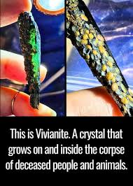 This is Vivianite. A crystal that grows on and inside the corpse of  deceased people and animals. This vivid Blue Mineral grows on buried bodies  and often confuses Archaeologists. In 1861, a