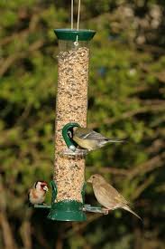 There's no waste, as there can be. What To Feed Wild Birds Vine House Farm