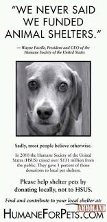 The Humane Society Of The United States Does Not Help Help To Fund Animal Shelters If You Want To Help Shelter Pets Donate Animal Shelter Humane Society Dogs
