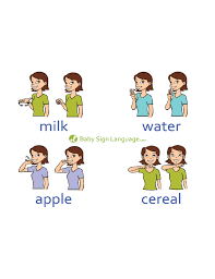Basic Baby Sign Language Chart Template Free Download