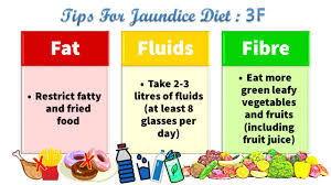 Diet For People With Jaundice Portal Myhealth