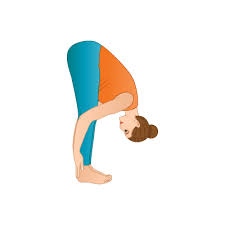 Forward Bends Yoga