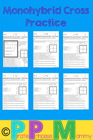 Students Will Have Fun Figuring Out These 6 Different Monohybrid Punnett Square Crosses As They St Life Science High School Science Lessons Genetics Activities