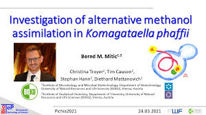 Mitić is known for a numerous series of red westerns from the gdr defa studios, featuring native americans as the heroes. Bernd Mitic Berndmitic Twitter