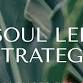 SOUL LED STRATEGY: Grow Your Wellness Business for event image