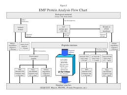 ppt emf protein analysis flow chart powerpoint