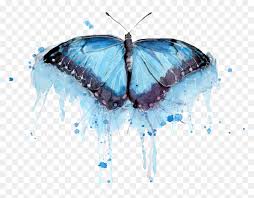 Painted on light watercolor paper. Butterfly In Watercolor Png Transparent Png Vhv