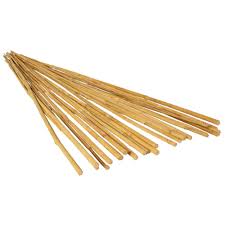 We did not find results for: Hydrofarm 6 Feet Natural Strong Bamboo Stakes Garden Accessories Pack Of 25 Walmart Canada