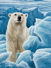 Ice Bear Polar Bear Toucanvas Polar Bear Art Polar Bear Paint Polar Bear Drawing