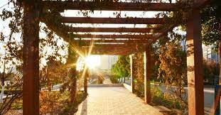 8 oplossingen voor de inkijk in de tuin verminderen welke kies jij tuin schutting tuin tuin privacy