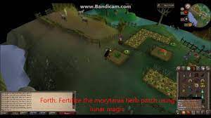 The npcs for the easy, medium, hard, and elite subcategories are indicated by a icon on the minimap and the world map. Oldschool Runescape Elite Morytania Diary Walkthrough Youtube