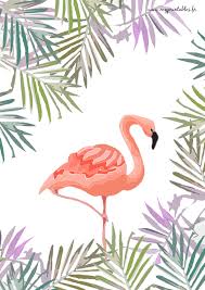Free Printable Poster Flamingo Flamant Rose Telechargement Www Myprintables Fr Flamant Rose Dessin Flamant Rose Art Sur Le Flamant Rose