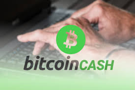 No one knows the future, so no one can say whether bitcoin is going up or down in the near term. Is Bitcoin Cash A Good Investment In 2021 Elevenews