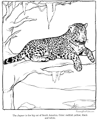 Jaquar Coloring Sheets Zoo Animal Coloring Pages Zoo Coloring Pages Animal Coloring Pages
