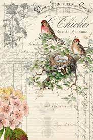 We did not find results for: Bird Ephemera Roycycled Decoupage Tissue Paper