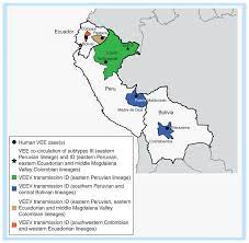 Son sólo tres formas distintas de ver a un mismo país. Map Of Peru Ecuador And Bolivia Showing Regions Of Endemic Venezuelan Download Scientific Diagram