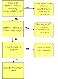Clinical Practice Guidelines Head Injury Flowchart