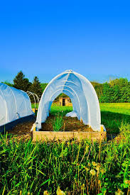 Rather than trying to dig down into the existing soil, raised beds allow you to garden on top of our rocky soil by adding your own soil mixture into a bed placed on top of the ground. A Simple Effective Way To Protect Your Garden The Subversive Supper