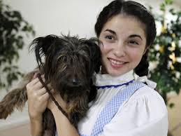 Lakeland Community Theatre Presents: 'The Wizard of Oz'