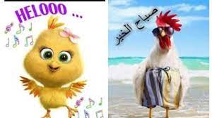 صباح الخير 2021 , احلى الصور الحديثة لتحية الصباح هذا العام صور مضحكة جدا , شاهد صور تموت من الضحك كلمات صباحية , صباح الخير بشكل جديد مساء الخير حبيبي , تعبيرات وكلمات جميلة لتحية المساء لاحبائك. ØµÙˆØ±ØµØ¨Ø§Ø­ Ø§Ù„Ø®ÙŠØ± Ù…Ø¶Ø­ÙƒÙ‡ Ù†Ù‚Ø¯Ù… Ù„ÙƒÙ… Ù…Ø¬Ù…ÙˆØ¹Ø© Ù…Ù† Ø§Ø­Ù„Ù‰ ÙˆØ£ÙØ¶Ù„ Ø§Ù„ØµÙˆØ± Ù„ØµØ¨Ø§Ø­ Ø§Ù„Ø®ÙŠØ±