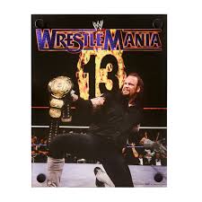 Roman reigns universal champion 18x24 poster. The Undertaker Wrestlemania 13 Acrylic Wall Art Pro Wrestling Fandom