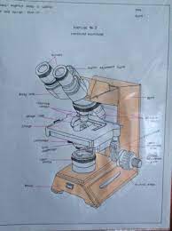 Parts Of Microscope Artist Humanoid Sketch Art
