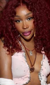 Sophisticate's Black Hair Styles And Care Guide