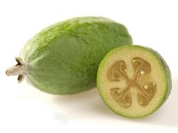 Feijoa — brasilianische guave brasilianische guave (acca sellowiana), blätter und blüten mit vielen staubblättern. Brasilianische Guave Acca Sellowiana Pflanzen Lexikon Com