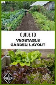 How to lay out garden rows. Vegetable Garden Layout Gardening Channel